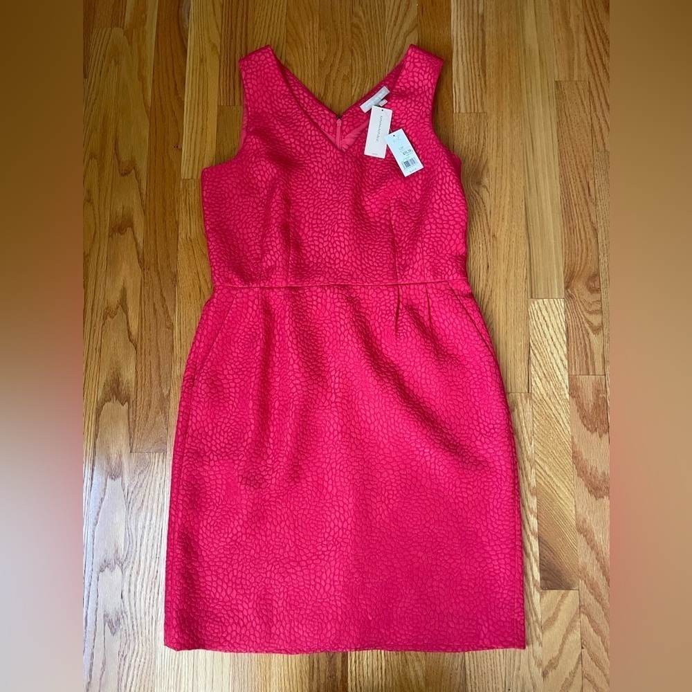 NWT! Banana Republic Petite Pink Textured Dress
